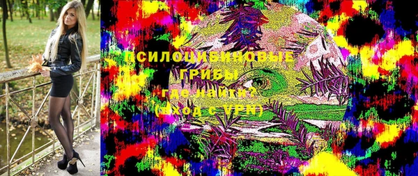 МДПВ Алексин