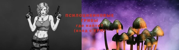 МДПВ Алзамай