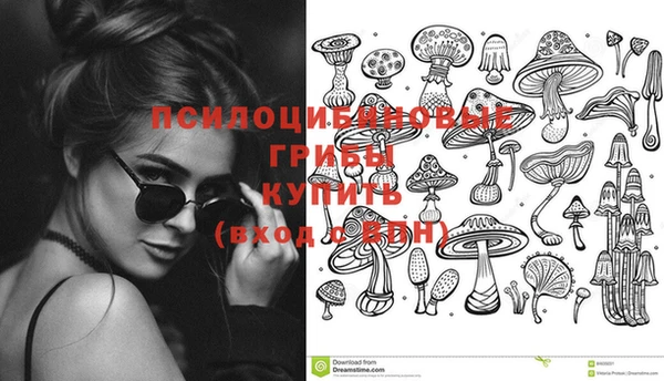 дживик Алексеевка
