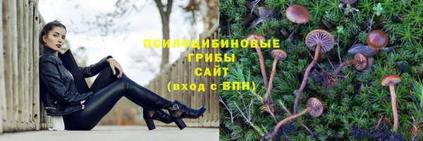 дживик Алексеевка
