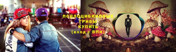 МДПВ Алзамай